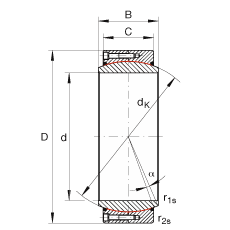 P(gun)(ji)S GE1000-DW-2RS2, (j) DIN ISO 12 240-1 (bio)(zhn), Soɂ(c)ܷ